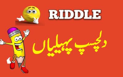 Amazing Riddles With Answers