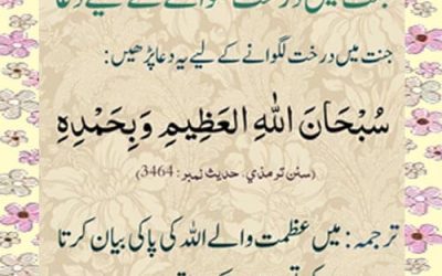 Jannat Main Darakht Lagane Ke Liye Dua