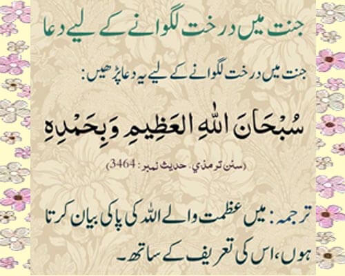 Jannat (Paradise) Mein Darakhht Lganwane Ki Dua