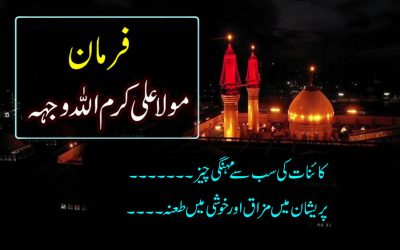 Hazrat Ali AS K Eham Farman | Imam Ali Quotes in Urdu