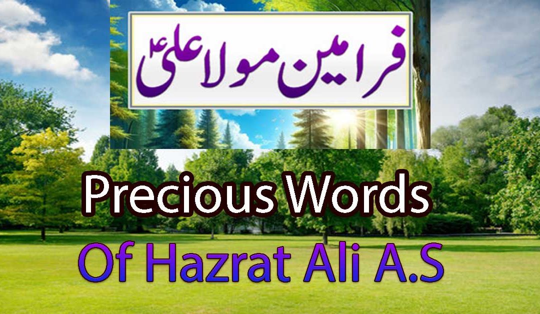 Aqwal e Zareen
