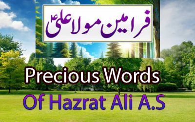 Precious Words | Hazrat Ali A.S Ka Farman | Aqwal e Zareen
