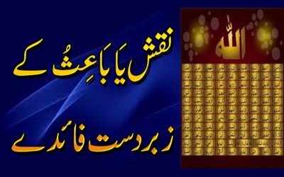 Ya Baisu Ka Naqash Aur Isky Faiday