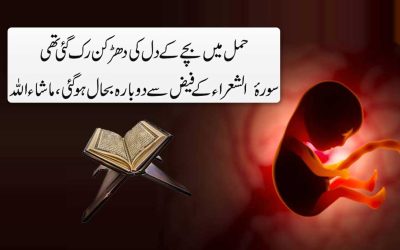 Baby Not Heartbeat In Pregnancy